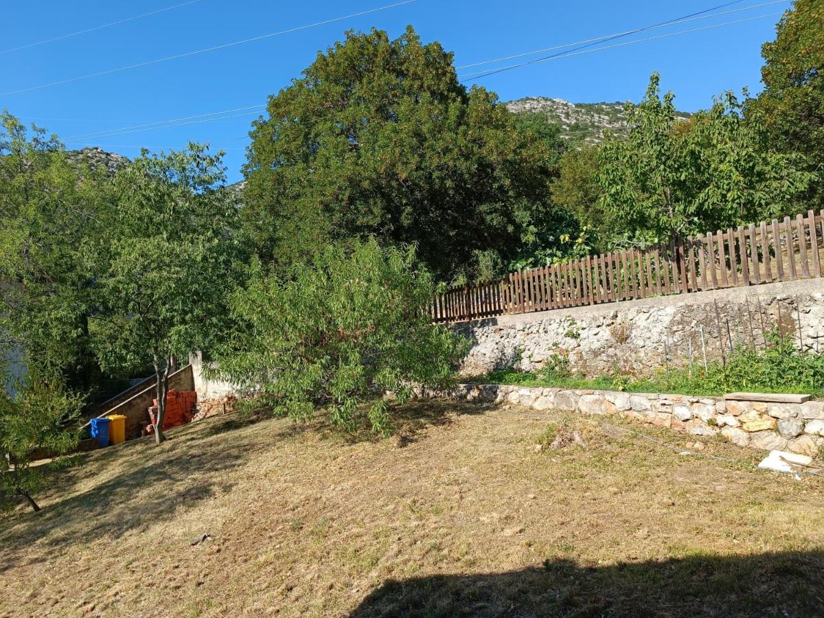 Valentino * Senj (Lika-Senj)